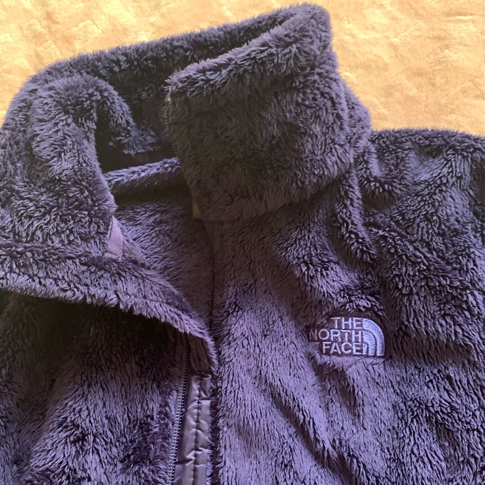 Purple North Face Jacket